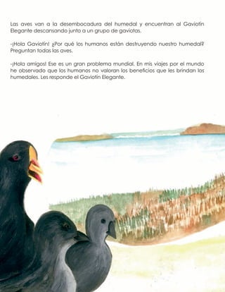 Las aves van a la desembocadura del humedal y encuentran al Gaviotín
Elegante descansando junto a un grupo de gaviotas.
-¡Hola Gaviotín! ¿Por qué los humanos están destruyendo nuestro humedal?
Preguntan todas las aves.
-¡Hola amigos! Ese es un gran problema mundial. En mis viajes por el mundo
he observado que los humanos no valoran los beneficios que les brindan los
humedales. Les responde el Gaviotín Elegante.
 