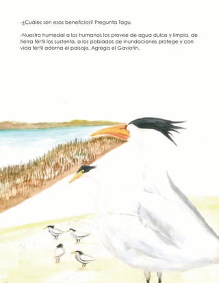 -¿Cuáles son esos beneficios? Pregunta Tagu.
-Nuestro humedal a los humanos los provee de agua dulce y limpia, de
tierra fértil los sustenta, a los poblados de inundaciones protege y con
vida fértil adorna el paisaje. Agrega el Gaviotín.
 