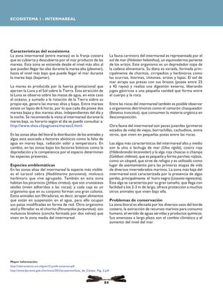 Características del ecosistema
La zona intermareal (entre mareas) es la franja costera
que es cubierta y descubierta por el mar producto de las
mareas. Esta zona se extiende desde el nivel más alto al
que pueden llegar las olas durante la marea alta (pleamar),
hasta el nivel más bajo que puede llegar el mar durante
la marea baja (bajamar).
La marea es producida por la fuerza gravitacional que
ejercen la Luna y el Sol sobre la Tierra. Esta atracción de
la Luna se observa sobre las masas de agua, en este caso
el océano, y sumado a la rotación de la Tierra sobre su
propio eje, genera las mareas altas y bajas. Entre mareas
existe un lapso de 6 horas, por lo que cada día posee dos
mareas bajas y dos mareas altas, independientes del día y
la noche. Se recomienda la visita al intermareal durante la
marea baja, su horario según el día se puede consultar a:
http://www.shoa.cl/pagnueva/mareas2.html.
En las zonas altas del litoral la distribución de los animales y
algas está asociada a factores abióticos como la falta de
agua en marea baja, radiación solar y temperatura. En
cambio, en las zonas bajas los factores bióticos como la
depredación y la competencia por el espacio determinan
las especies presentes.
Especies emblemáticas
En las zonas altas del intermareal la especie más visible
es el caracol cebra (Nodilittorina peruviana), molusco
herbívoro que vive agrupado. También en esta zona
habitan los picorocos (Jehlius cirratus), que son crustáceos
sésiles (viven adheridos a las rocas); y cada caja es un
organismo que en su conjunto forman una gran colonia.
Estos animales son filtradores, es decir, atrapan alimentos
que están en suspensión en el agua, para ello ocupan
sus patas modificadas en forma de red. Otro organismo
sésil y filtrador es el chorito (Perumytilus purpuratus); son
moluscos bivalvos (concha formada por dos valvas) que
viven en la zona media del intermareal.
La fauna carnívora del intermareal es representada por el
sol de mar (Heliaster helianthus), un equinodermo pariente
de los erizos. Este organismo es un depredador tope de
la cadena alimentaria. Su dieta es variada, formada prin-
cipalmente de choritos, cirripedios y herbívoros como
las scurrias, litorinas, chitones, erizos y lapas. El sol de
mar atrapa sus presas con sus brazos (posee entre 25
a 42 rayos) y realiza una digestión externa, liberando
jugos gástricos a una pequeña cavidad que forma entre
el cuerpo y la roca.
Entre las rocas del intermareal también es posible observar
a organismos detritívoros como el camarón chasqueador
(Betaeus truncatus), que consumen la materia orgánica en
descomposición.
Otra fauna del intermareal son peces juveniles (primeros
estados de vida) de viejas, borrachillas, cachuditos, entre
otros, que viven en pequeñas posas entre las rocas.
Las algas más características del intermareal alto y medio
son la ulva o lechuga de mar (Ulva rigida), costra roja
(Hildenbrandia lecannelier) y la alga roja chascas o champa
(Gelidium chilense), que es pequeña y forma parches rojizos,
como un césped, que sirve de refugio y es utilizado como
lugar de asentamiento para las primeras etapas de vida
de diversos invertebrados marinos. La zona más baja del
intermareal está caracterizada por la presencia de algas
pardas, principalmente el huiro negro (Lessonia nigrescens).
Esta alga se caracteriza por su gran tamaño, que llega con
facilidad a los 2-3 m de largo, ofrece protección a muchos
otros animales que viven bajo ella.
Problemas de conservación
La zona litoral es afectada por los diversos usos del borde
costero, la extracción de recursos marinos para consumo
humano, el vertido de aguas servidas y productos químicos.
Sus amenazas a largo plazo son el cambio climático y el
aumento del nivel del mar.
ECOSISTEMA 1 - INTERMAREAL
84
Mayor información:
http://valoraciencia.ucn.cl/guia/12-profe-zonacion.pdf
http://www.fpa.mma.gob.cl/archivos/2012/proyectos/Guia_de_Campo_Pag_2.pdf
 