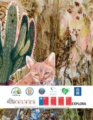 Cuentos Infantiles
de Biodiversidad
Zona Norte Chico
Paloma Núñez Farías
Ilustraciones: Solange Cid R.
CuentosInfantilesdeBiodiversidad
Productos EXPLORA CONICYT de Apropiación Social de la Ciencia y la Tecnología
PalomaNúñezFarías
EXPLORA
 