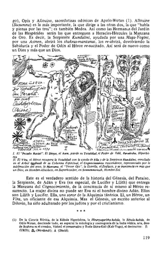 go), Opis y Allouine, sacerdotisas odínicas de Apolo-Wotan (1). Allouine
(Susumna) es la más importante, la que dirige a las otras dos, la que "habla
y piensa por las tres"; es también Medea. Así como las Hermanas del Jardín
de las Hespérides serán las que entreguen a Heracles-Hércules la Manzana
de Oro. Es decir, la Serpiente Kundalini, ayudada por una Maga-Yogini,
por una Asinen, abrirá los shakras-manzanas, los re-abrirá, devolviendo la
Sabiduría y el Poder de Odín al Héroe re-sucitado. Así será de nuevo como
un Dios y más que un Dios.
l El "Pecado Racial". El Divya, el Asen, pierde su Totalidad, el Poder de Odil, Paradesba, Hiperbó-
rea.
ll El Vira, el Héroe recupera la Totalidad con la ayuda de Ella y de la Serpiente Kundalini, enrollada
en el Arbol Iggdrasil de su Columna Espiritual, el Cognocimiento trascendente, representado por la
sublimación del sexo, la Manzana, el "Tercer Ojo", la Estrella, el Zodíaco, y se transmuta en más que
un Dios, en Hombre-Absoluto, en Superhombre, en Sonnenmenscb, Hombre-Sol.
Este es el verdadero sentido de la historia del Génesis, del Paraíso,
la Serpiente, de Adán y Eva (en especial, de Lucifer y Lilith) que entrega
la Manzana del Cognocimiento, de la conciencia de sí mismo al Héroe re-
surrecto. La mujer divina no puede ser Eva ni el hombre divino Adán. Ellos
son Lilith y Lucifer. Ella, una soror de la Alquimia tántrica. El, un Héroe, un
Vira, un oficiante de esa Alquimia. Mas el Génesis, un escrito anterior al
Diluvio, ha sido adulterado por los judíos y por el cristianismo.
* * *
(1) De la Ciencia Rúnica, de la Kábala Hiperbórea, la Hiranyagarbha-kabda, la Sthula-kabda, de
Odín-Wotan, desciende todo, en especial la mitología y cosmogonía de la India védica, aria, don-
de Brahma es el creador, Vishnú el preservador y Ruda-Shiva-Kali (Kali-Yuga), el destructor: n
(URD); ~ (Werdandi); Á (Skuld).
119
 
