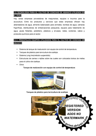 30745566 conchas-de-abanico-en-salsa-bretonne