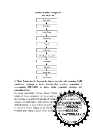 30745566 conchas-de-abanico-en-salsa-bretonne