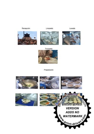 30745566 conchas-de-abanico-en-salsa-bretonne