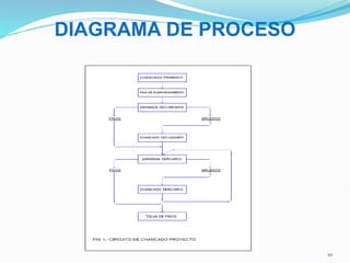 DIAGRAMA DE PROCESO
10
 