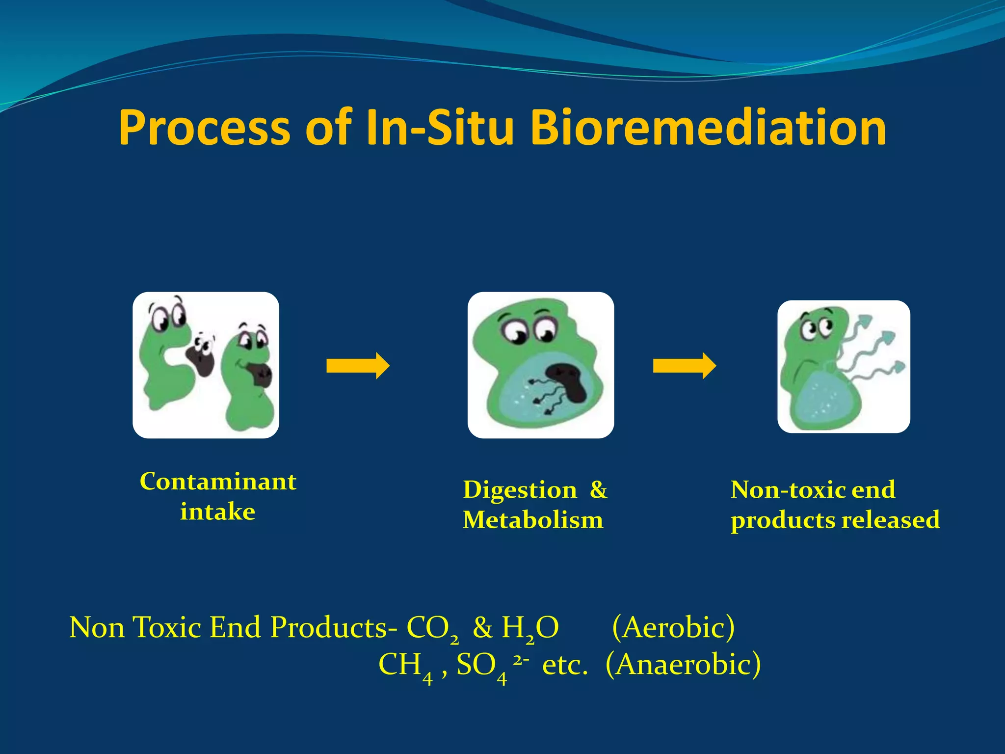 In-Situ Bioremediation for Contaminated Soil | PPTX