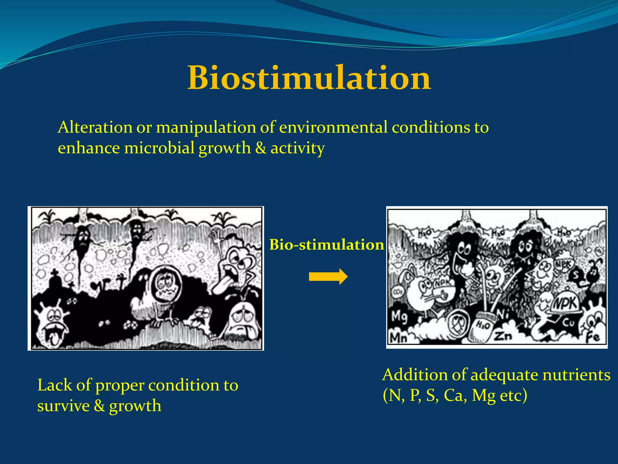 In-Situ Bioremediation for Contaminated Soil | PPTX