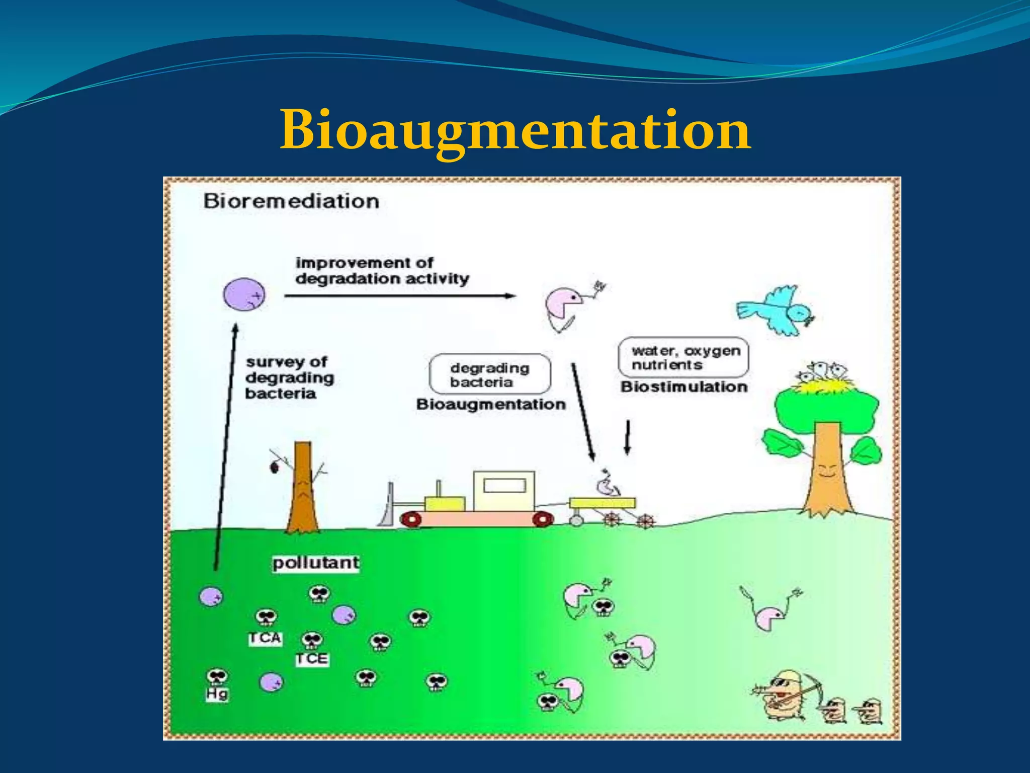 In-Situ Bioremediation for Contaminated Soil | PPTX