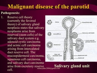Malignant disease of the parotid
Pathogenesis:
1. Reserve cell theory
(currently the favored
theory) of salivary gland
neoplasia states that salivary
neoplasms arise from
reserved (stem cells) of the
salivary duct system e.g.
adenoid cystic carcinoma
and acinic cell carcinoma
arising from intercalated
duct reserve cell. The
mucoepidermoid carcinoma,
squamous cell carcinoma,
and salivary duct carcinoma
arise from excretory reserve
cell.
Salivary gland unitsumeryadav2004@gmail.com
 