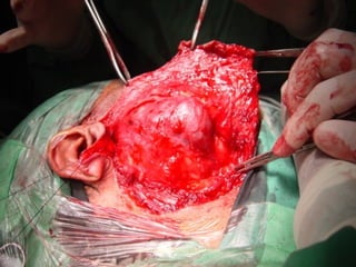 sumeryadav2004@gmail.com
 