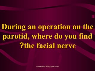 During an operation on the
parotid, where do you find
the facial nerve?
sumeryadav2004@gmail.com
 