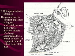 5. Retrograde anterior
approach.
The parotid duct is
constant imposition
as it goes
horizontally across
the border of
masseter muscle.
It’s always
accompanied by a
branch of buccal or
zygomatic branch
within 1 cm. of the
duct.
Angle of
mandible
Parotid
duct
sumeryadav2004@gmail.com
 