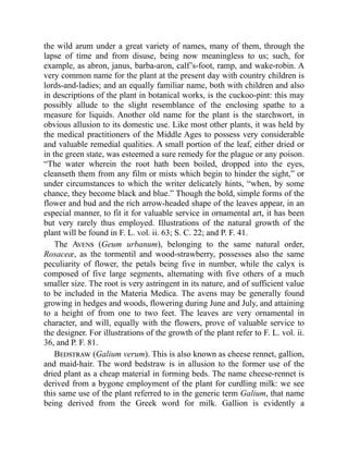 the wild arum under a great variety of names, many of them, through the
lapse of time and from disuse, being now meaningless to us; such, for
example, as abron, janus, barba-aron, calf’s-foot, ramp, and wake-robin. A
very common name for the plant at the present day with country children is
lords-and-ladies; and an equally familiar name, both with children and also
in descriptions of the plant in botanical works, is the cuckoo-pint: this may
possibly allude to the slight resemblance of the enclosing spathe to a
measure for liquids. Another old name for the plant is the starchwort, in
obvious allusion to its domestic use. Like most other plants, it was held by
the medical practitioners of the Middle Ages to possess very considerable
and valuable remedial qualities. A small portion of the leaf, either dried or
in the green state, was esteemed a sure remedy for the plague or any poison.
“The water wherein the root hath been boiled, dropped into the eyes,
cleanseth them from any film or mists which begin to hinder the sight,” or
under circumstances to which the writer delicately hints, “when, by some
chance, they become black and blue.” Though the bold, simple forms of the
flower and bud and the rich arrow-headed shape of the leaves appear, in an
especial manner, to fit it for valuable service in ornamental art, it has been
but very rarely thus employed. Illustrations of the natural growth of the
plant will be found in F. L. vol. ii. 63; S. C. 22; and P. F. 41.
The Avens (Geum urbanum), belonging to the same natural order,
Rosaceæ, as the tormentil and wood-strawberry, possesses also the same
peculiarity of flower, the petals being five in number, while the calyx is
composed of five large segments, alternating with five others of a much
smaller size. The root is very astringent in its nature, and of sufficient value
to be included in the Materia Medica. The avens may be generally found
growing in hedges and woods, flowering during June and July, and attaining
to a height of from one to two feet. The leaves are very ornamental in
character, and will, equally with the flowers, prove of valuable service to
the designer. For illustrations of the growth of the plant refer to F. L. vol. ii.
36, and P. F. 81.
Bedstraw (Galium verum). This is also known as cheese rennet, gallion,
and maid-hair. The word bedstraw is in allusion to the former use of the
dried plant as a cheap material in forming beds. The name cheese-rennet is
derived from a bygone employment of the plant for curdling milk: we see
this same use of the plant referred to in the generic term Galium, that name
being derived from the Greek word for milk. Gallion is evidently a
 