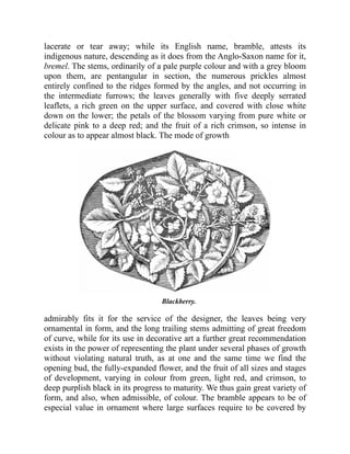 lacerate or tear away; while its English name, bramble, attests its
indigenous nature, descending as it does from the Anglo-Saxon name for it,
bremel. The stems, ordinarily of a pale purple colour and with a grey bloom
upon them, are pentangular in section, the numerous prickles almost
entirely confined to the ridges formed by the angles, and not occurring in
the intermediate furrows; the leaves generally with five deeply serrated
leaflets, a rich green on the upper surface, and covered with close white
down on the lower; the petals of the blossom varying from pure white or
delicate pink to a deep red; and the fruit of a rich crimson, so intense in
colour as to appear almost black. The mode of growth
Blackberry.
admirably fits it for the service of the designer, the leaves being very
ornamental in form, and the long trailing stems admitting of great freedom
of curve, while for its use in decorative art a further great recommendation
exists in the power of representing the plant under several phases of growth
without violating natural truth, as at one and the same time we find the
opening bud, the fully-expanded flower, and the fruit of all sizes and stages
of development, varying in colour from green, light red, and crimson, to
deep purplish black in its progress to maturity. We thus gain great variety of
form, and also, when admissible, of colour. The bramble appears to be of
especial value in ornament where large surfaces require to be covered by
 