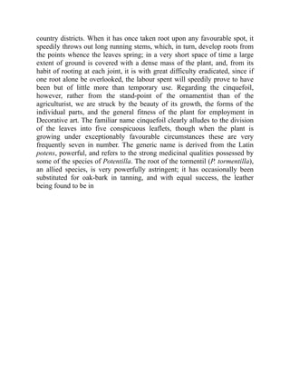 country districts. When it has once taken root upon any favourable spot, it
speedily throws out long running stems, which, in turn, develop roots from
the points whence the leaves spring; in a very short space of time a large
extent of ground is covered with a dense mass of the plant, and, from its
habit of rooting at each joint, it is with great difficulty eradicated, since if
one root alone be overlooked, the labour spent will speedily prove to have
been but of little more than temporary use. Regarding the cinquefoil,
however, rather from the stand-point of the ornamentist than of the
agriculturist, we are struck by the beauty of its growth, the forms of the
individual parts, and the general fitness of the plant for employment in
Decorative art. The familiar name cinquefoil clearly alludes to the division
of the leaves into five conspicuous leaflets, though when the plant is
growing under exceptionably favourable circumstances these are very
frequently seven in number. The generic name is derived from the Latin
potens, powerful, and refers to the strong medicinal qualities possessed by
some of the species of Potentilla. The root of the tormentil (P. tormentilla),
an allied species, is very powerfully astringent; it has occasionally been
substituted for oak-bark in tanning, and with equal success, the leather
being found to be in
 