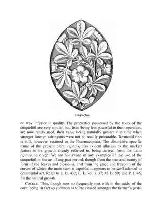 Cinquefoil.
no way inferior in quality. The properties possessed by the roots of the
cinquefoil are very similar, but, from being less powerful in their operation,
are now rarely used, their value being naturally greater at a time when
stronger foreign astringents were not so readily procurable. Tormentil root
is still, however, retained in the Pharmacopœia. The distinctive specific
name of the present plant, reptans, has evident allusion to the marked
feature in its growth already referred to, being derived from the Latin
reptare, to creep. We are not aware of any examples of the use of the
cinquefoil in the art of any past period, though from the size and beauty of
form of the leaves and blossoms, and from the grace and freedom of the
curves of which the main stem is capable, it appears to be well adapted to
ornamental art. Refer to E. B. 432; F. L. vol. i. 37; M. B. 59; and P. F. 46,
for the natural growth.
Cockle. This, though now so frequently met with in the midst of the
corn, being in fact so common as to be classed amongst the farmer’s pests,
 