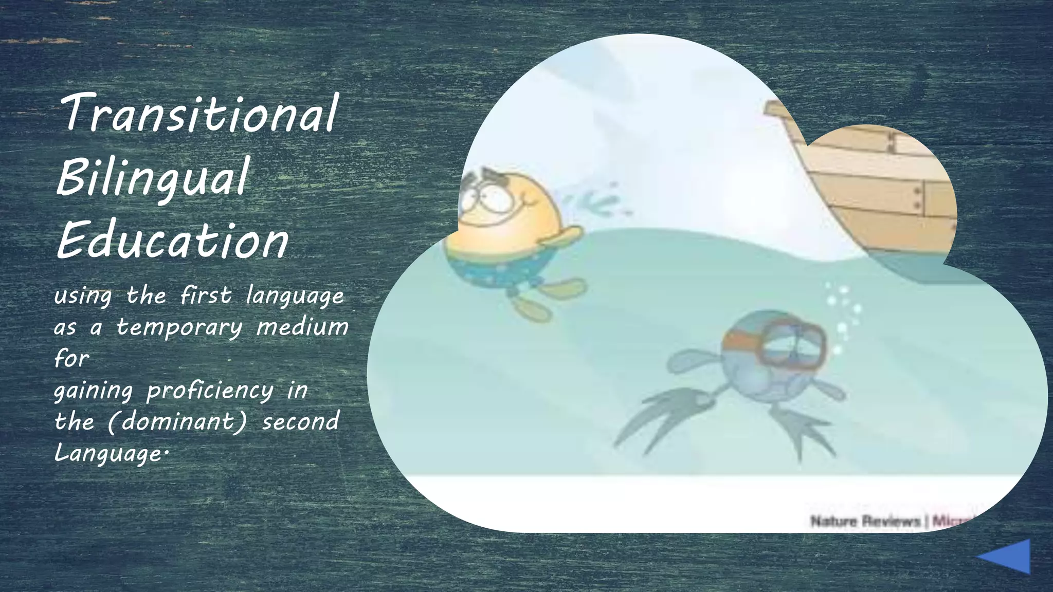 Bilingual and Multilingual Education | PPTX