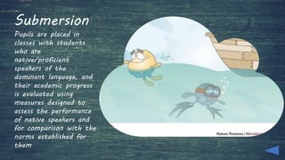 Submersion
Pupils are placed in
classes with students
who are
native/proficient
speakers of the
dominant language, and
their academic progress
is evaluated using
measures designed to
assess the performance
of native speakers and
for comparison with the
norms established for
them
 