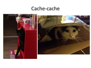 Cache-cache