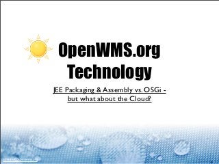 OpenWMS.org
                         Technology
                       JEE Packaging & Assembly vs. OSGi -
                            but what about the Cloud?




scherrer@openwms.org
 