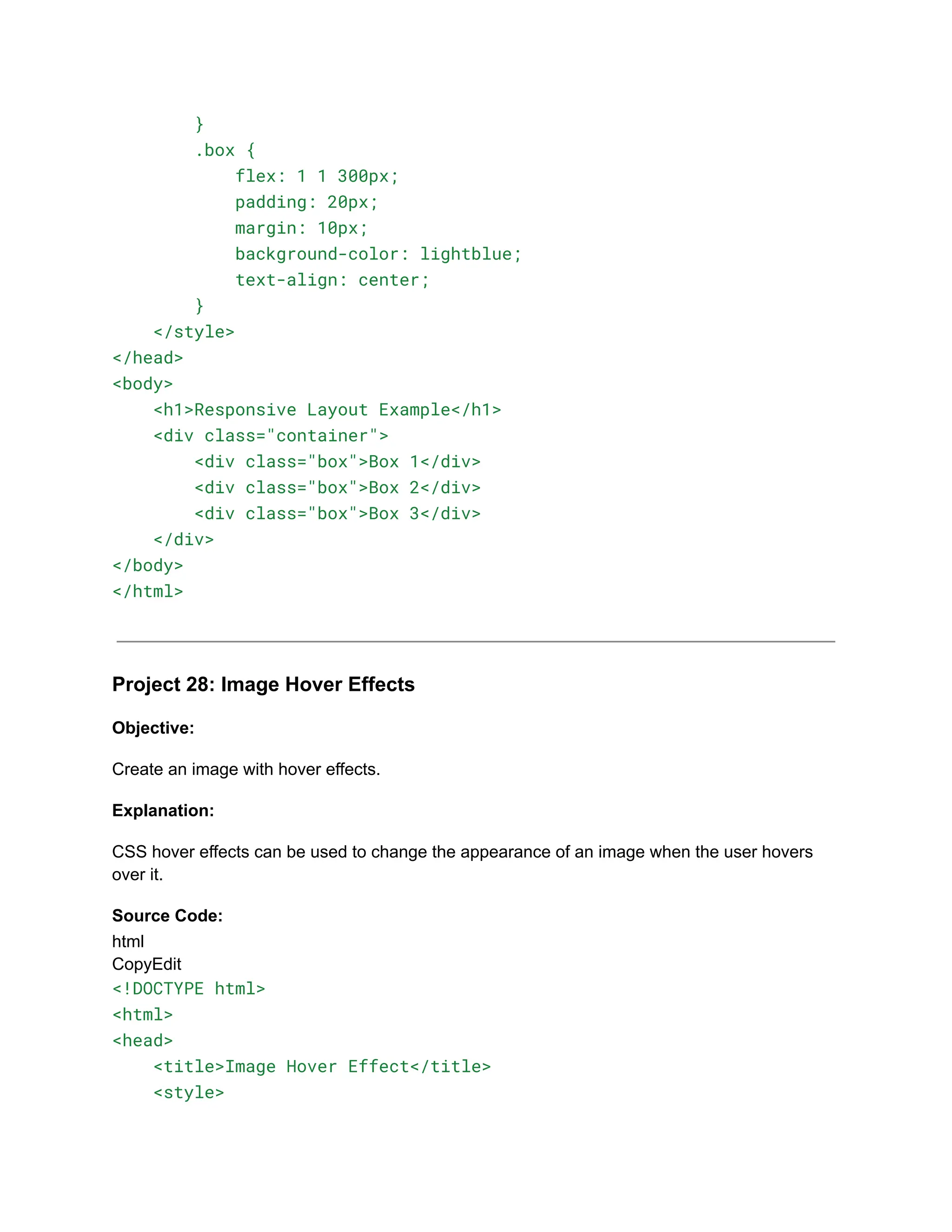 30+ Basic HTML Coding Projects for Class 10.pdf