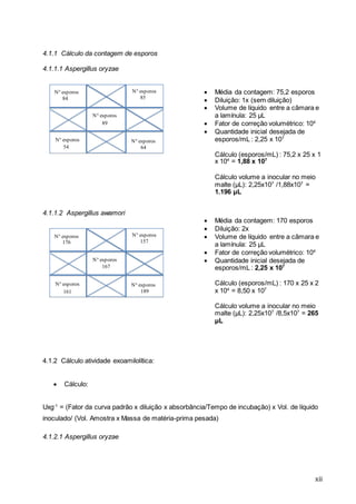 xii
4.1.1 Cálculo da contagem de esporos
4.1.1.1 Aspergillus oryzae
 Média da contagem: 75,2 esporos
 Diluição: 1x (sem diluição)
 Volume de líquido entre a câmara e
a lamínula: 25 µL
 Fator de correção volumétrico: 104
 Quantidade inicial desejada de
esporos/mL : 2,25 x 107
Cálculo (esporos/mL) : 75,2 x 25 x 1
x 104
= 1,88 x 107
Cálculo volume a inocular no meio
malte (µL): 2,25x107
/1,88x107
=
1.196 µL
4.1.1.2 Aspergillus awamori
 Média da contagem: 170 esporos
 Diluição: 2x
 Volume de líquido entre a câmara e
a lamínula: 25 µL
 Fator de correção volumétrico: 104
 Quantidade inicial desejada de
esporos/mL : 2,25 x 107
Cálculo (esporos/mL) : 170 x 25 x 2
x 104
= 8,50 x 107
Cálculo volume a inocular no meio
malte (µL): 2,25x107
/8,5x107
= 265
µL
4.1.2 Cálculo atividade exoamilolítica:
 Cálculo:
Uxg-1
= (Fator da curva padrão x diluição x absorbância/Tempo de incubação) x Vol. de líquido
inoculado/ (Vol. Amostra x Massa de matéria-prima pesada)
4.1.2.1 Aspergillus oryzae
N° esporos
84
N° esporos
85
N° esporos
89
N° esporos
54
N° esporos
64
N° esporos
176
N° esporos
157
N° esporos
167
N° esporos
161
N° esporos
189
 