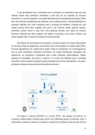 iv
O uso do biodiesel como combustível vem se tornando uma alternativa cada vez mais
atraente devido seus benefícios ambientais e pelo fato de ser originado de recursos
renováveis. O custo do biodiesel é a principal dificuldade da comercialização do produto. Óleos
das mais diversas procedências são utilizados como matérias-primas. A transesterificação é o
processo realizado com mais frequência para a produção de biodiesel. Consiste em uma
reação química entre óleos vegetais, tais como o de mamona, dendê, girassol, babaçu,
amendoim, pinhão manso e soja, bem como gorduras animais, com etanol ou metanol.
Durante a obtenção dos óleos vegetais, são obtidos co-produtos, como tortas e farelos, que
podem agregar valor à cadeia de produção do biocombustível.
Na tentativa da valorização de co-produtos, inocula-se esporos de fungos filamentosos
em diversas tortas de oleaginosas, promovendo assim fermentações em estado sólido (FES).
Enzimas degradadoras de matéria-prima podem então ser produzidas. Os microorganismos
são os mais importantes produtores enzimáticos. Os fungos filamentosos Aspergillus são
organismos de importância considerável para muitas indústrias biotecnológicas. Muitas
espécies de Aspergillus, tais como A. awamori e A. oryzae são utilizadas para a produção
enzimática. Essas espécies produzem grande variedade de enzimas extracelulares, nas quais,
amilases e proteases possuem grande importância industrial.
Os fungos A. awamori IOC-3914 e A oryzae 30103 são capazes de produzir um
complexo multienzimático contendo pelo menos cinco diferentes grupos de enzimas: endo- e
exoamilases, proteases, xilanases e celulases, usando torta de babaçu, farelo de soja, torta de
Fermentação no estado
sólido
Torta
fermentada
Processo global
Pre-inóculo
Enzimas
Matéria-prima
Glicose, xilose e
nutrientes
Autólise
do fungo
Nutrientes
Hidrólise
enzimática
 