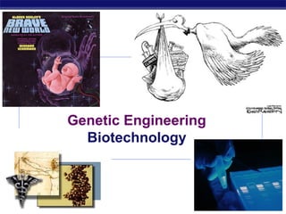 2006-2007Regents Biology
Genetic Engineering
Biotechnology
 