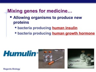 Regents Biology
Mixing genes for medicine…
 Allowing organisms to produce new
proteins
 bacteria producing human insulin
 bacteria producing human growth hormone
 
