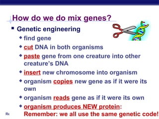 Regents Biology
How do we do mix genes?
 Genetic engineering
 find gene
 cut DNA in both organisms
 paste gene from one creature into other
creature’s DNA
 insert new chromosome into organism
 organism copies new gene as if it were its
own
 organism reads gene as if it were its own
 organism produces NEW protein:
Remember: we all use the same genetic code!
 