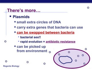 Regents Biology
There’s more…
 Plasmids
 small extra circles of DNA
 carry extra genes that bacteria can use
 can be swapped between bacteria
 bacterial sex!!
 rapid evolution = antibiotic resistance
 can be picked up
from environment
 