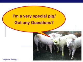 2006-2007Regents Biology
I’m a very special pig!
Got any Questions?
 