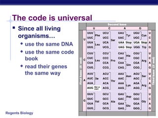 Regents Biology
The code is universal
 Since all living
organisms…
 use the same DNA
 use the same code
book
 read their genes
the same way
 