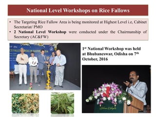 National Level Workshops on Rice Fallows
1st National Workshop was held
at Bhubaneswar, Odisha on 7th
October, 2016
• The ...