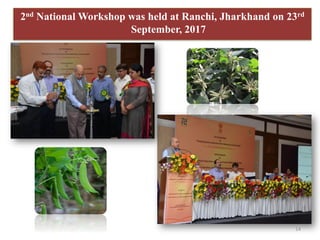 2nd National Workshop was held at Ranchi, Jharkhand on 23rd
September, 2017
14
 