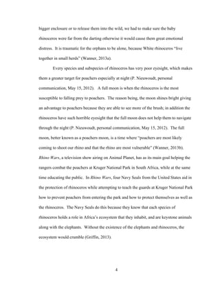 4
bigger enclosure or to release them into the wild, we had to make sure the baby
rhinoceros were far from the darting otherwise it would cause them great emotional
distress. It is traumatic for the orphans to be alone, because White rhinoceros “live
together in small herds” (Wanner, 2013a).
Every species and subspecies of rhinoceros has very poor eyesight, which makes
them a greater target for poachers especially at night (P. Nieuwoudt, personal
communication, May 15, 2012). A full moon is when the rhinoceros is the most
susceptible to falling prey to poachers. The reason being, the moon shines bright giving
an advantage to poachers because they are able to see more of the brush; in addition the
rhinoceros have such horrible eyesight that the full moon does not help them to navigate
through the night (P. Nieuwoudt, personal communication, May 15, 2012). The full
moon, better known as a poachers moon, is a time where “poachers are most likely
coming to shoot our rhino and that the rhino are most vulnerable” (Wanner, 2013b).
Rhino Wars, a television show airing on Animal Planet, has as its main goal helping the
rangers combat the poachers at Kruger National Park in South Africa, while at the same
time educating the public. In Rhino Wars, four Navy Seals from the United States aid in
the protection of rhinoceros while attempting to teach the guards at Kruger National Park
how to prevent poachers from entering the park and how to protect themselves as well as
the rhinoceros. The Navy Seals do this because they know that each species of
rhinoceros holds a role in Africa’s ecosystem that they inhabit, and are keystone animals
along with the elephants. Without the existence of the elephants and rhinoceros, the
ecosystem would crumble (Griffin, 2013).
 