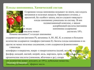Плоды шиповника. Химический состав 
Созревшие плоды шиповника называют не иначе, как кладезь 
витаминов и полезных веществ. Оранжевого оттенка, с 
краснотой, без особого запаха, кисло-сладкого вяжущего 
вкуса, плоды шиповника уникальны по составу. В них 
содержится поливитаминный комплекс, с явным 
преобладанием аскорбиновой кислоты (витамина 
С), в некоторых видах шиповника содержание 
аскорбиновой кислоты может достигать 18%. 
Помимо витамина С в плодах шиповника 
содержится рутин (витамин Р), витамины А, В1, В2, К, в семенах в большом 
количестве содержится токоферол (витамин Е). Богаты плоды шиповника и на 
другие не менее полезные соединения, в них содержатся флавоноловые 
гликозиды 
кемпферол и кверцетин, макро- и микроэлементы (калий, железо, марганец, 
фосфор, кальций, магний, натрий, медь, марганец, хром, молибден, кобальт), 
органические кислоты (лимонная, яблочная и др.), сахара 
(их количество может доходить до 18%), дубильные вещества, 
ликопин, рубиксантин, эфирное масло. 
 
