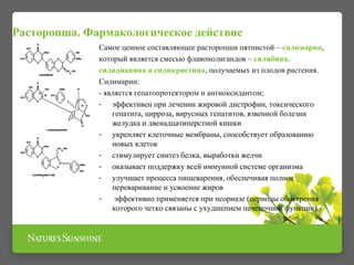 Расторопша. Фармакологическое действие 
Самое ценное составляющее расторопши пятнистой – силимарин, 
который является смесью флавонолигандов – силибина, 
силидианина и силикристина, получаемых из плодов растения. 
Силимарин: 
- является гепатопротектором и антиоксидантом; 
- эффективен при лечении жировой дистрофии, токсического 
гепатита, цирроза, вирусных гепатитов, язвенной болезни 
желудка и двенадцатиперстной кишки 
- укрепляет клеточные мембраны, способствует образованию 
новых клеток 
- стимулирует синтез белка, выработки желчи 
- оказывает поддержку всей иммунной системе организма 
- улучшает процесса пищеварения, обеспечивая полное 
переваривание и усвоение жиров 
- эффективно применяется при псориазе (периоды обострения 
которого четко связаны с ухудшением печеночной функции). 
 