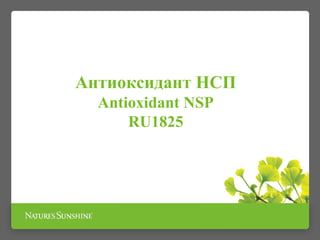Антиоксидант НСП 
Antioxidant NSP 
RU1825 
 