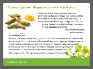 Корень куркумы. Фармакологическое действие 
Самое широкое употребление куркума 
получила на Востоке. Здесь она используется 
и как пряность, и как пищевой краситель, и 
как медицинский препарат. Куркума обладает 
рядом лекарственных свойств: улучшает 
обмен веществ, является 
антибактериальным, ранозаживляющим 
средством, улучшает пищеварение, 
кровообращение. 
Желтое красящее вещество куркумин обладает желчегонными свойствами 
и используется для лечения заболеваний желчного пузыря. Эфирное масло 
увеличивает образование желчи в печени. Куркумин также повышает 
антиоксидантную функцию печени, обладает стимулирующими 
свойствами. В индийской медицине куркуму употребляют 
для устранения зуда, при дерматите, аллергических сыпей. 
 