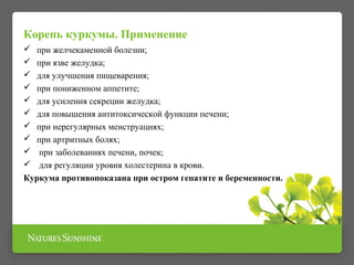 Корень куркумы. Применение 
 при желчекаменной болезни; 
 при язве желудка; 
 для улучшения пищеварения; 
 при пониженном аппетите; 
 для усиления секреции желудка; 
 для повышения антитоксической функции печени; 
 при нерегулярных менструациях; 
 при артритных болях; 
 при заболеваниях печени, почек; 
 для регуляции уровня холестерина в крови. 
Куркума противопоказана при остром гепатите и беременности. 
 