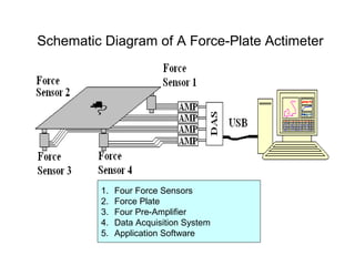 Schematic Diagram of A Force-Plate Actimeter
1. Four Force Sensors
2. Force Plate
3. Four Pre-Amplifier
4. Data Acquisition System
5. Application Software
 