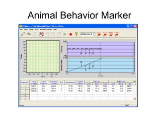 Animal Behavior Marker
 
