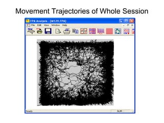 Movement Trajectories of Whole Session
 