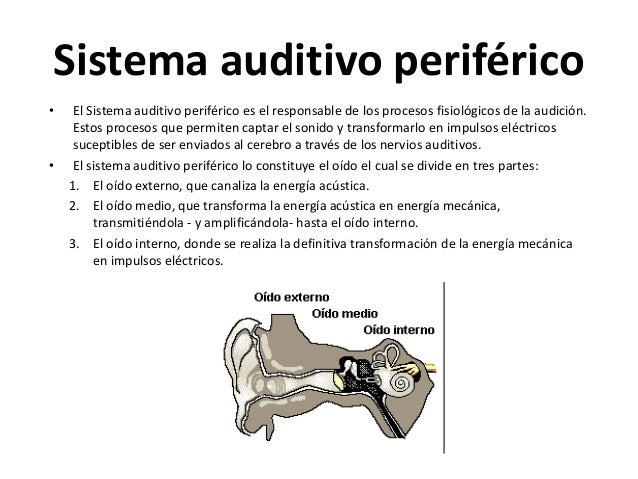 CLASE 30 CORTE 3
