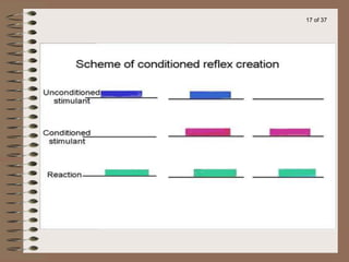 30 Conditioned reflex activity_50d76961c784233ac88e667da6a6fab4.ppt