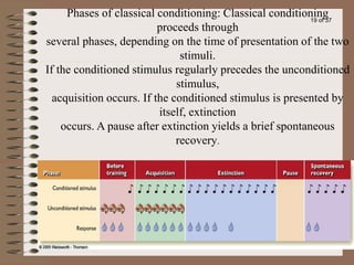30 Conditioned reflex activity_50d76961c784233ac88e667da6a6fab4.ppt