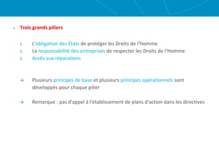 Trois grands piliers
1. L'obligation des États de protéger les Droits de l‘Homme
2. La responsabilité des entreprises de respecter les Droits de l‘Homme
3. Accès aux réparations
 Plusieurs principes de base et plusieurs principes opérationnels sont
développés pour chaque pilier
 Remarque : pas d'appel à l'établissement de plans d'action dans les directives
 