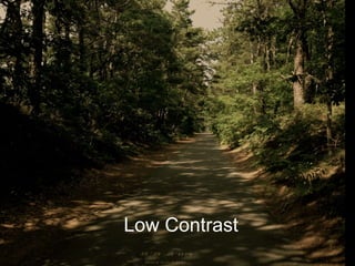Low Contrast 
 