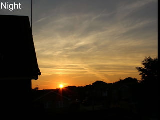 Night 
 
